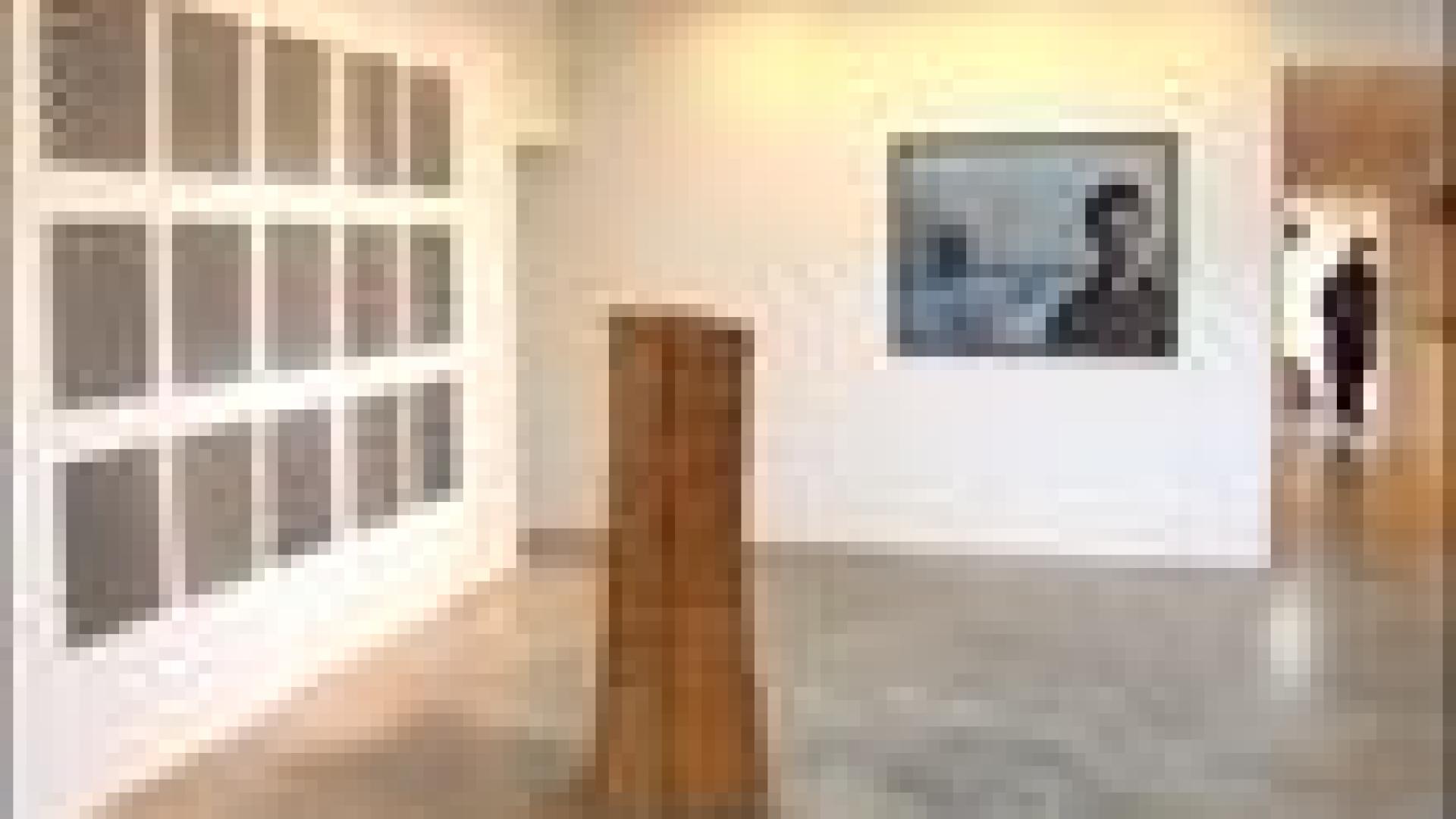 Exposition photo à la Monos Gallery